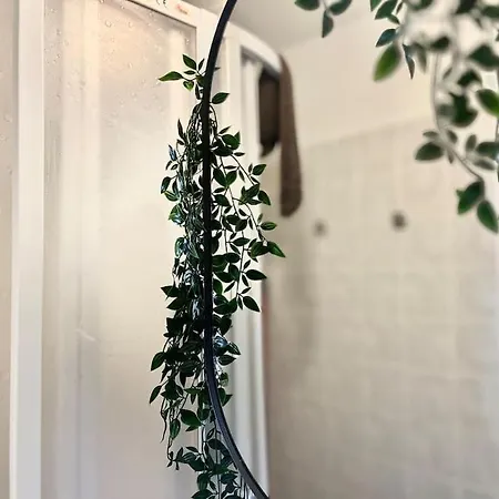 Wenceslas - * براغ